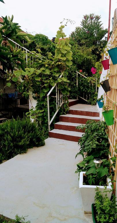 Sofia'S Way Apartments Jelsa  Exterior photo